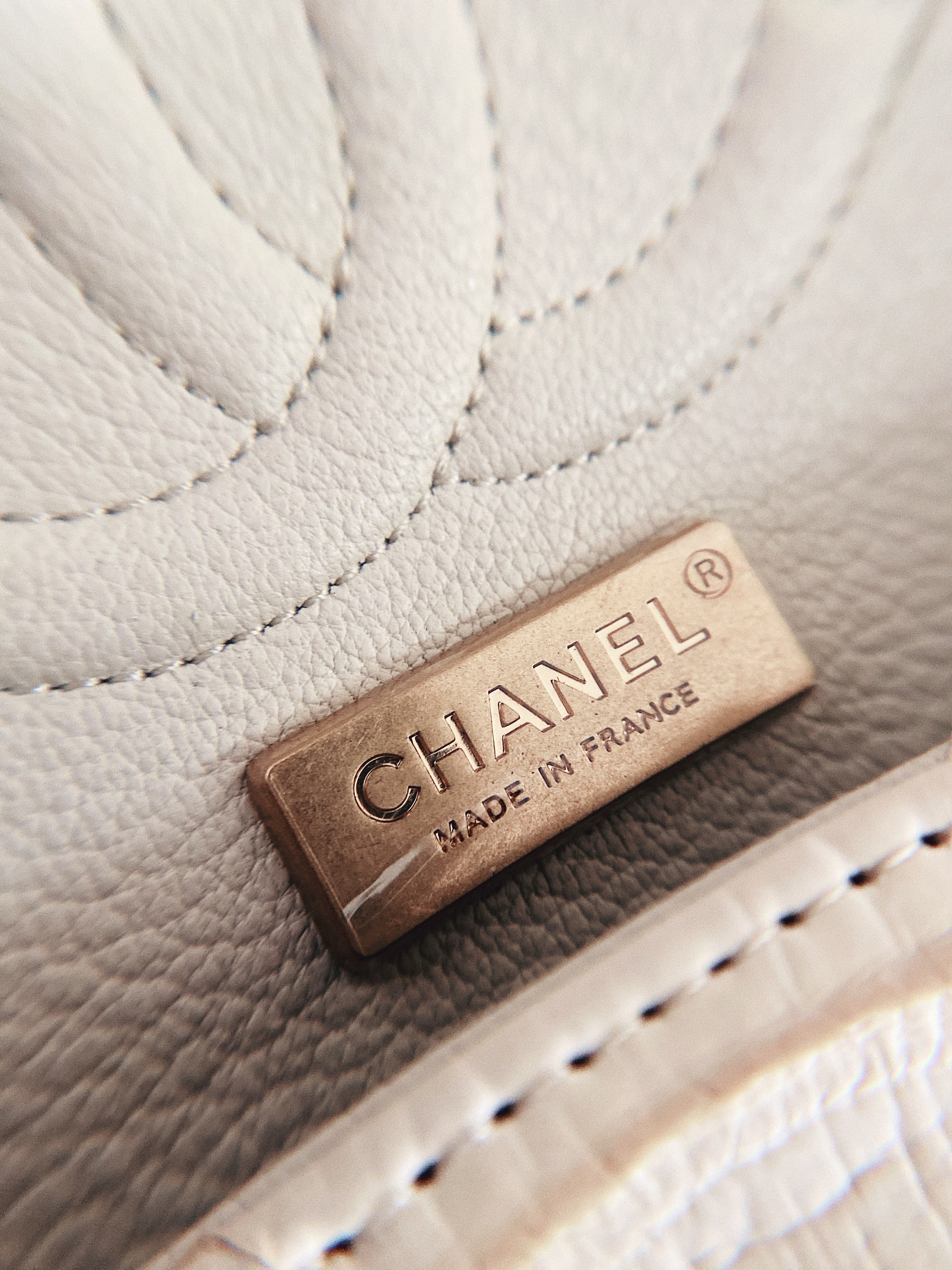 [TOP] CHANEL Classic Flap Bag True Python Leather Medium 25.5cm