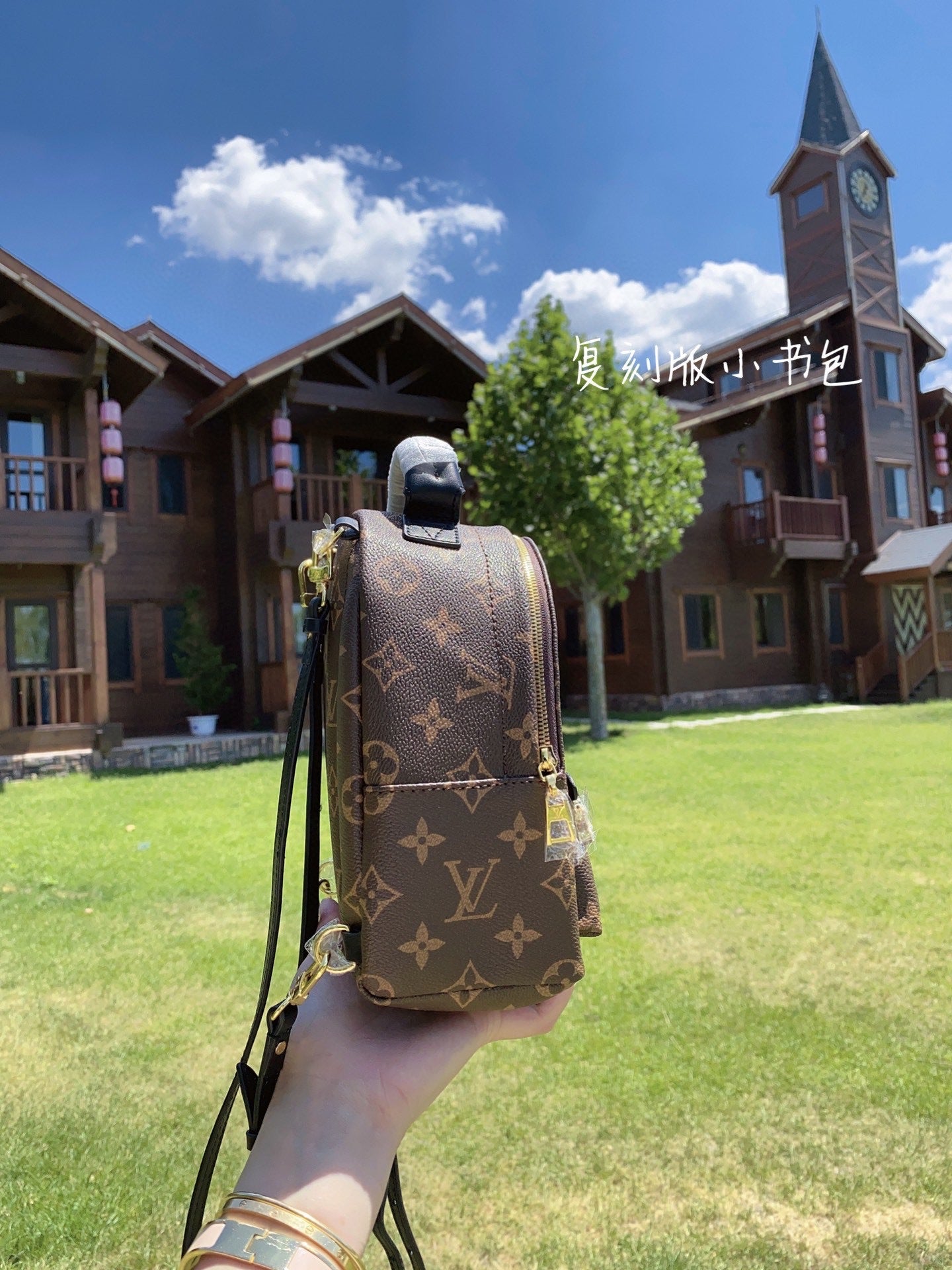 [TOP] Louis Vuitton LV £V Palm Springs Mini Monogram 17 x 22 x 10 cm-Brown