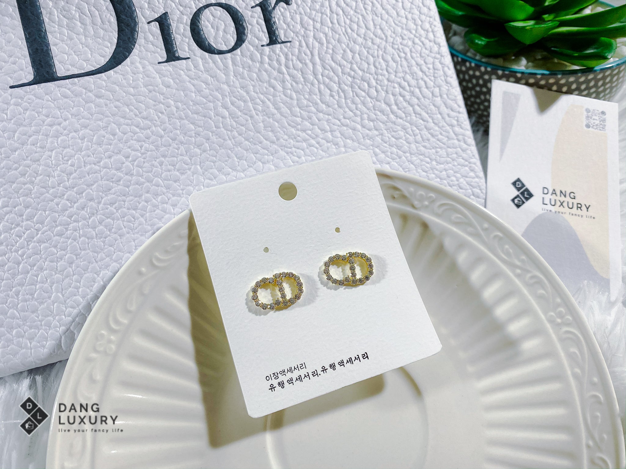 [TOP] Christian Dior Clair D Lune Earrings