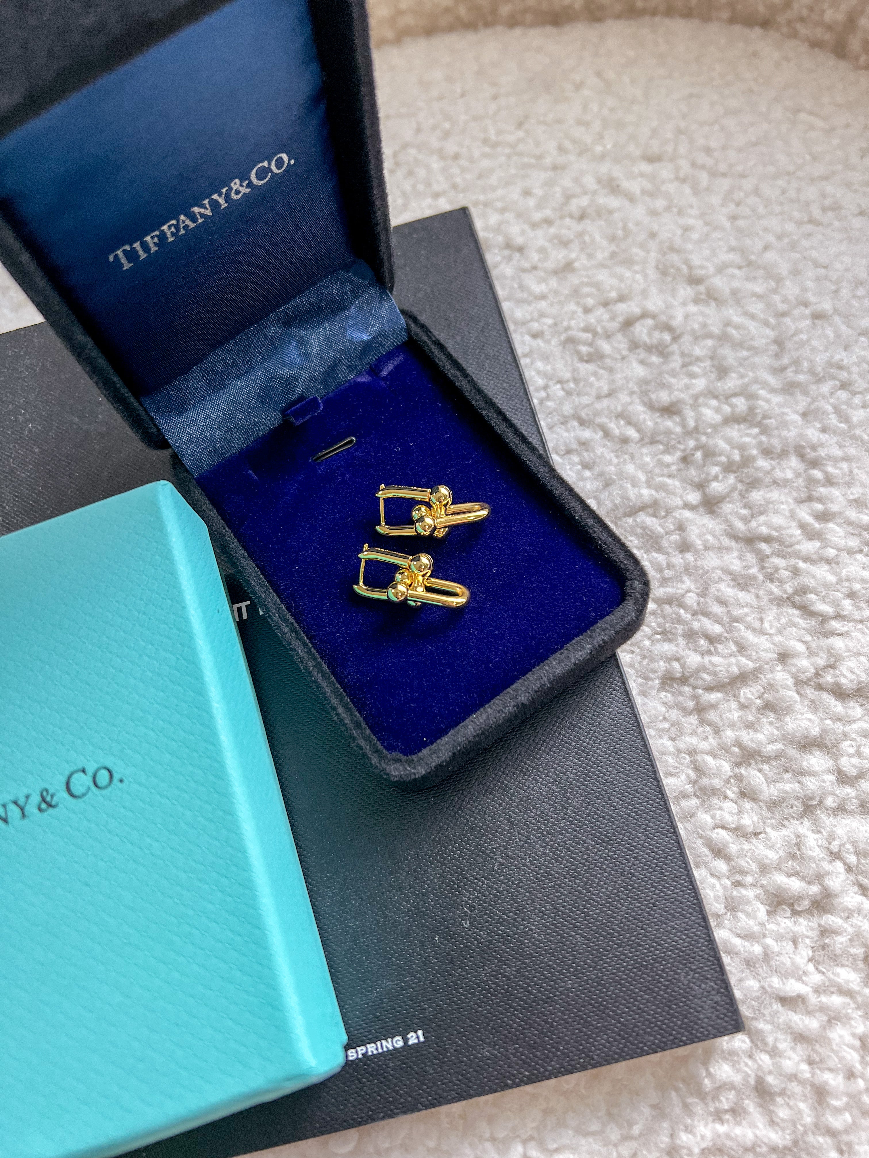 [TOP] Tiffany & Co. Link Earrings - Gold