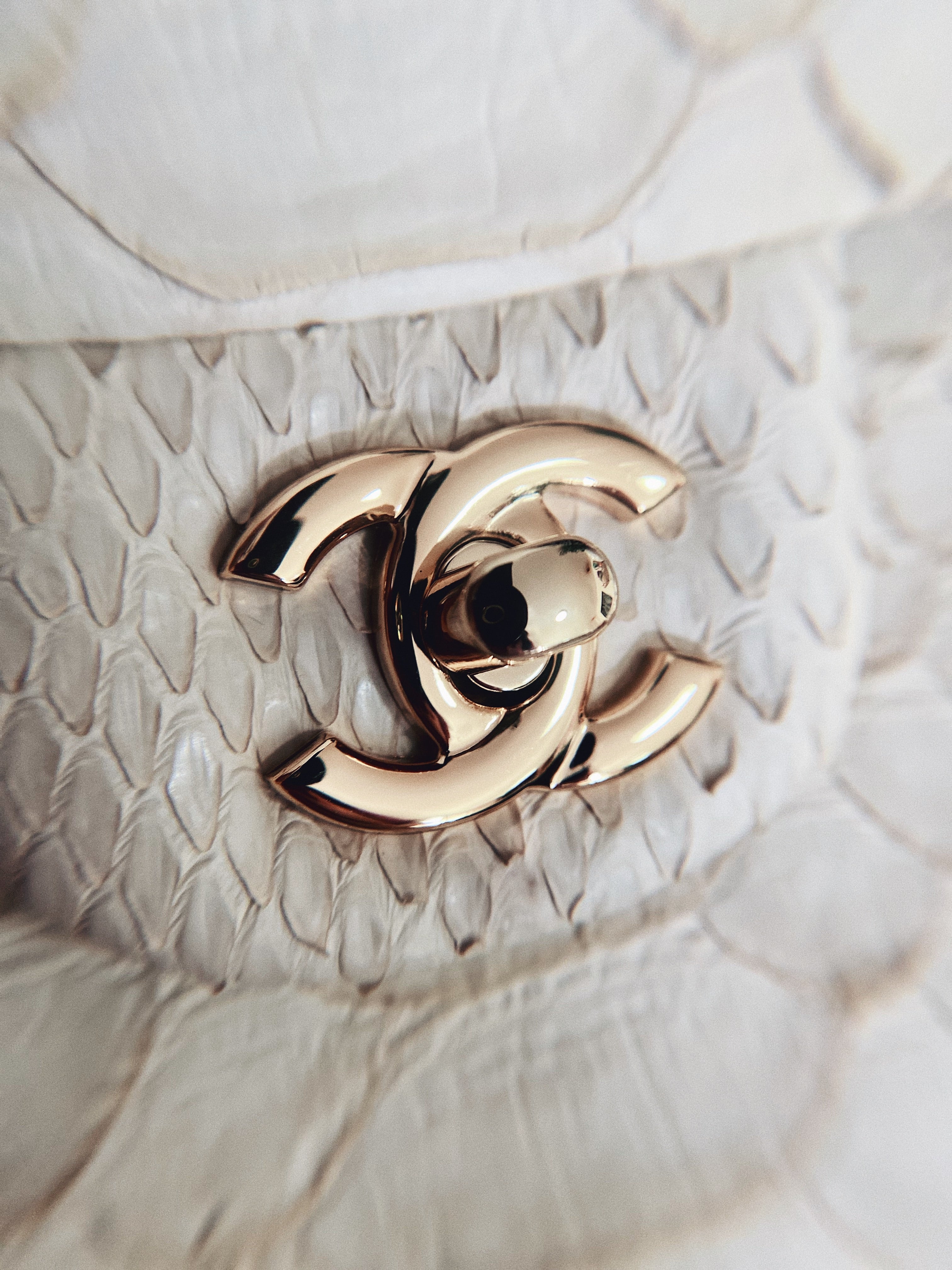 [TOP] CHANEL Classic Flap Bag True Python Leather Medium 25.5cm