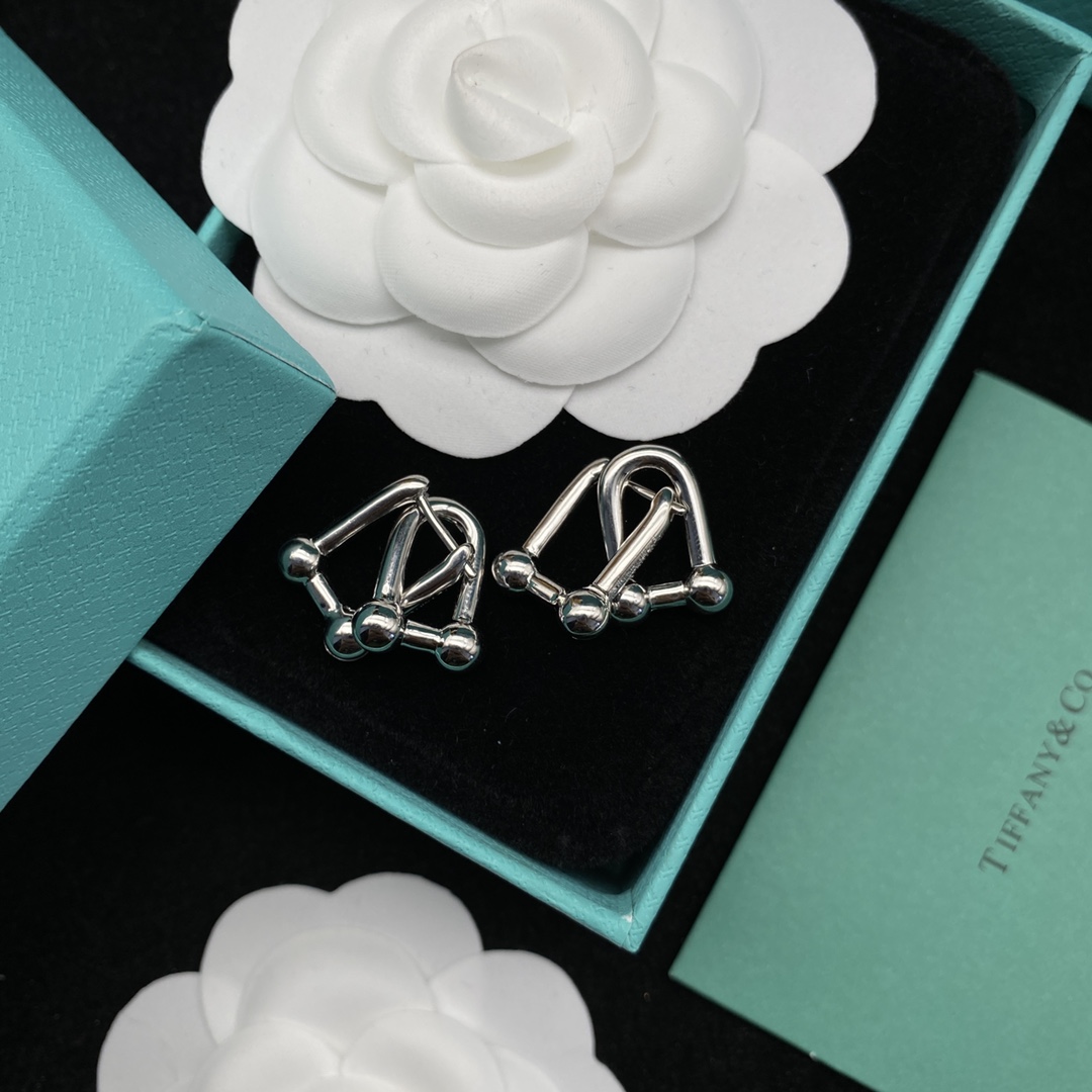 [TOP] Tiffany & Co. Link Earrings - Silver