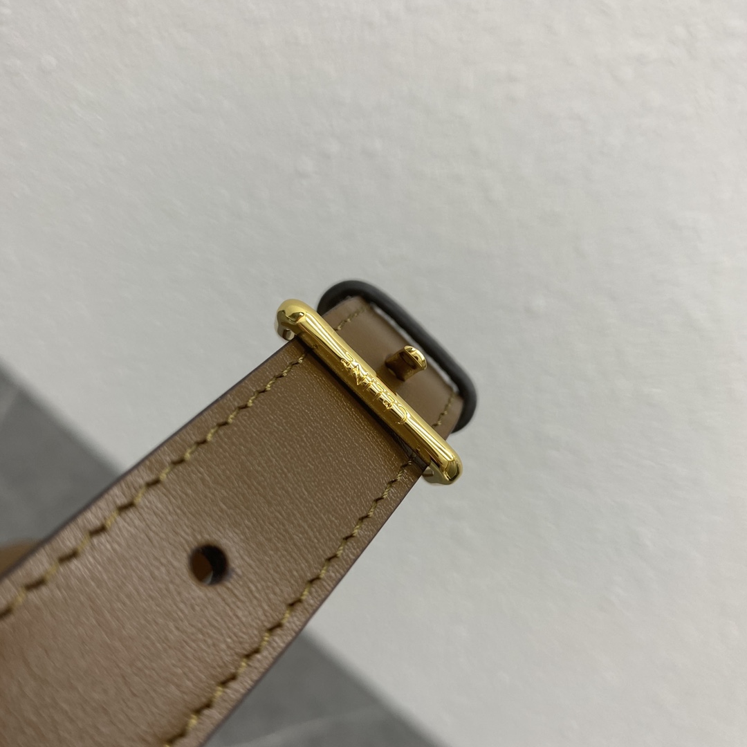 [TOP] CELINE Triomphe Shoulder Bag  22-16-6 - caramel colour