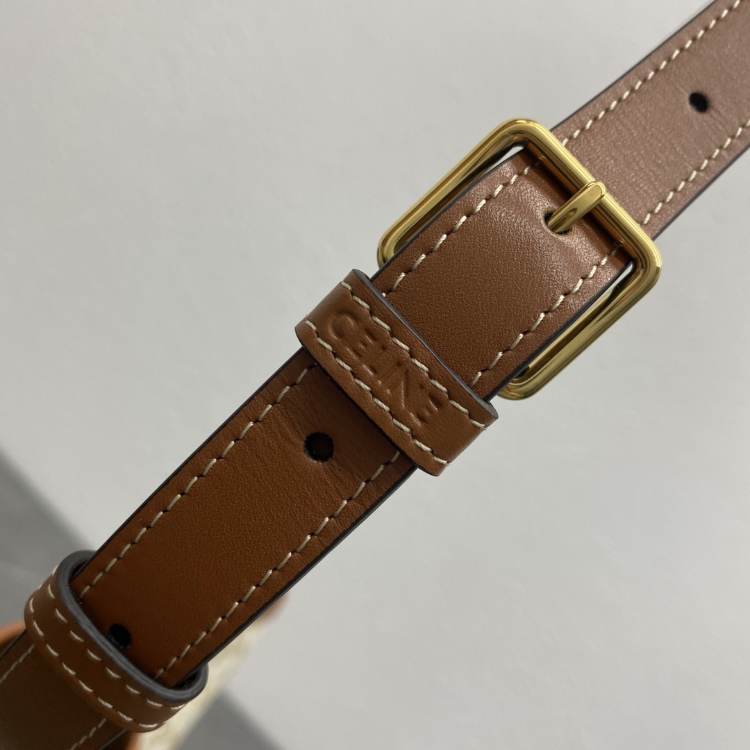 [TOP] CELINE Cuir Triomphe Monogram Bag 26×22×13 - White