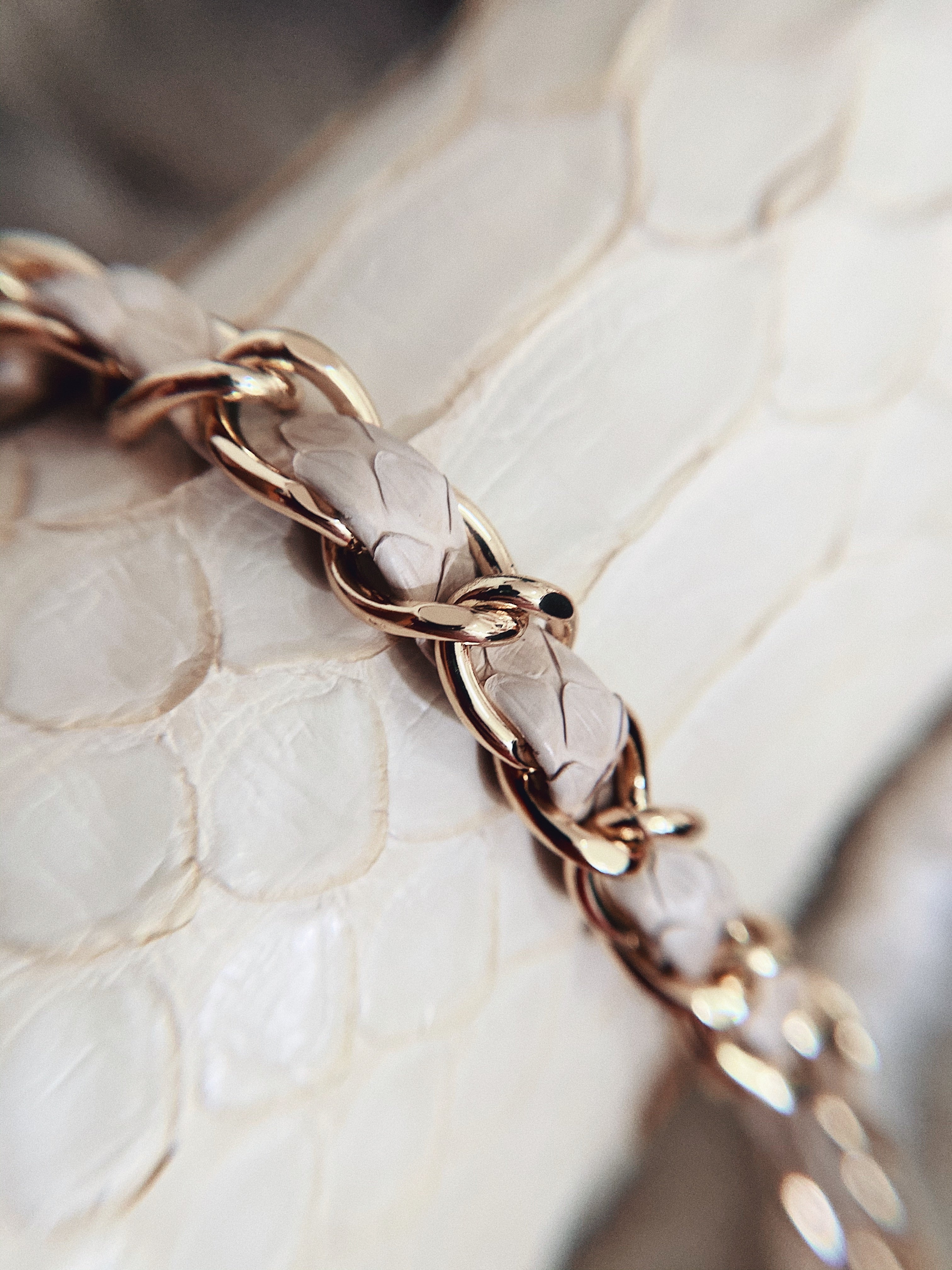 [TOP] CHANEL Classic Flap Bag True Python Leather Medium 25.5cm