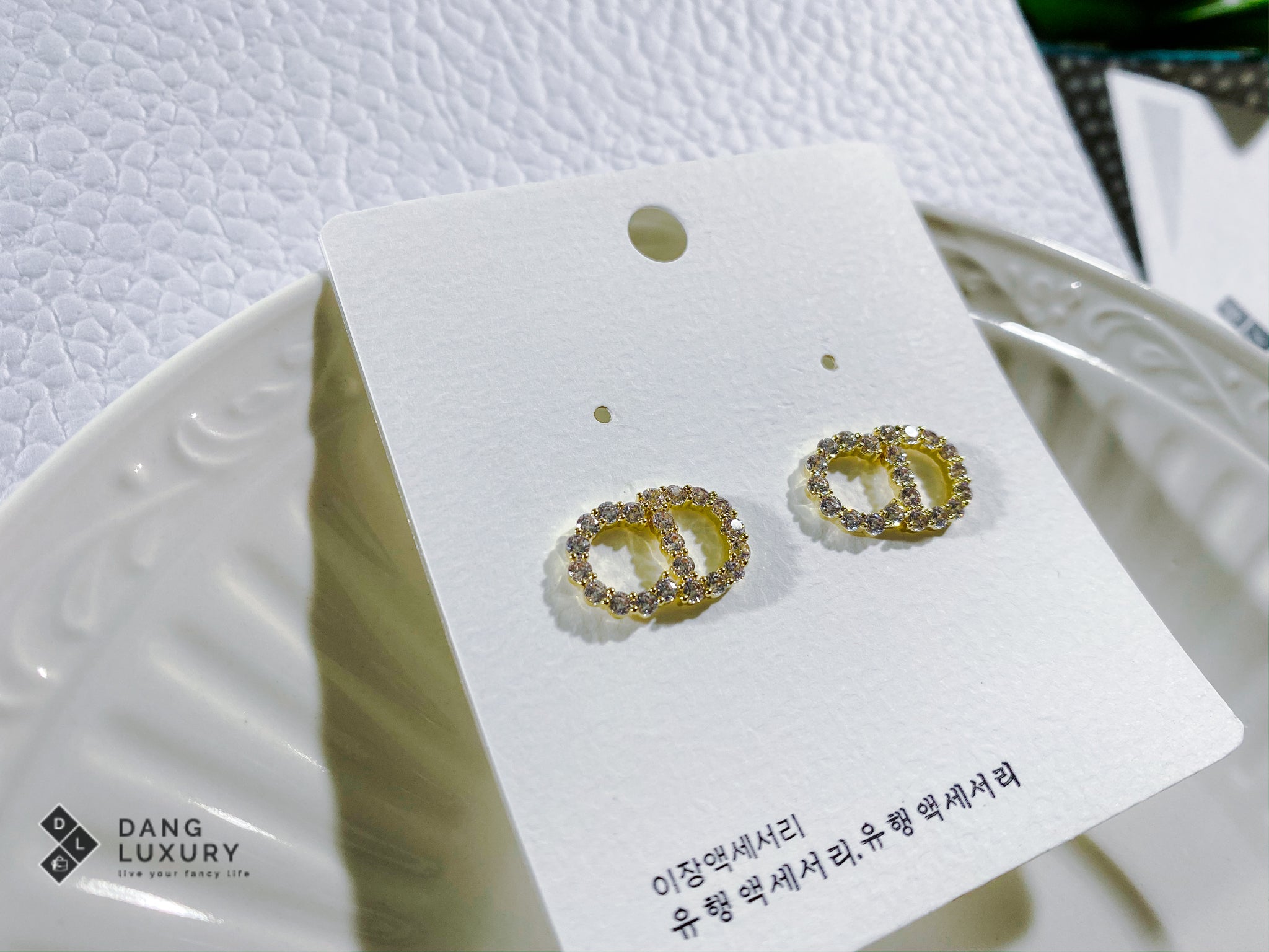 [TOP] Christian Dior Clair D Lune Earrings