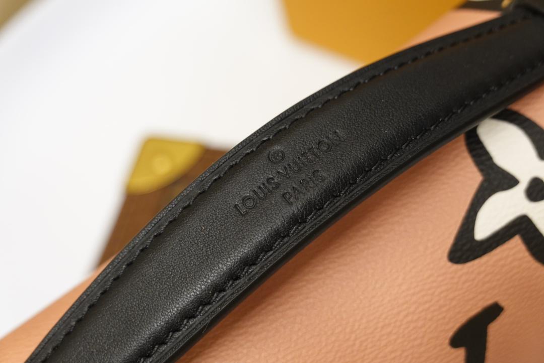 [TOP] Louis Vuitton LV £V Pochette Metis 25X19X7cm- Art Print