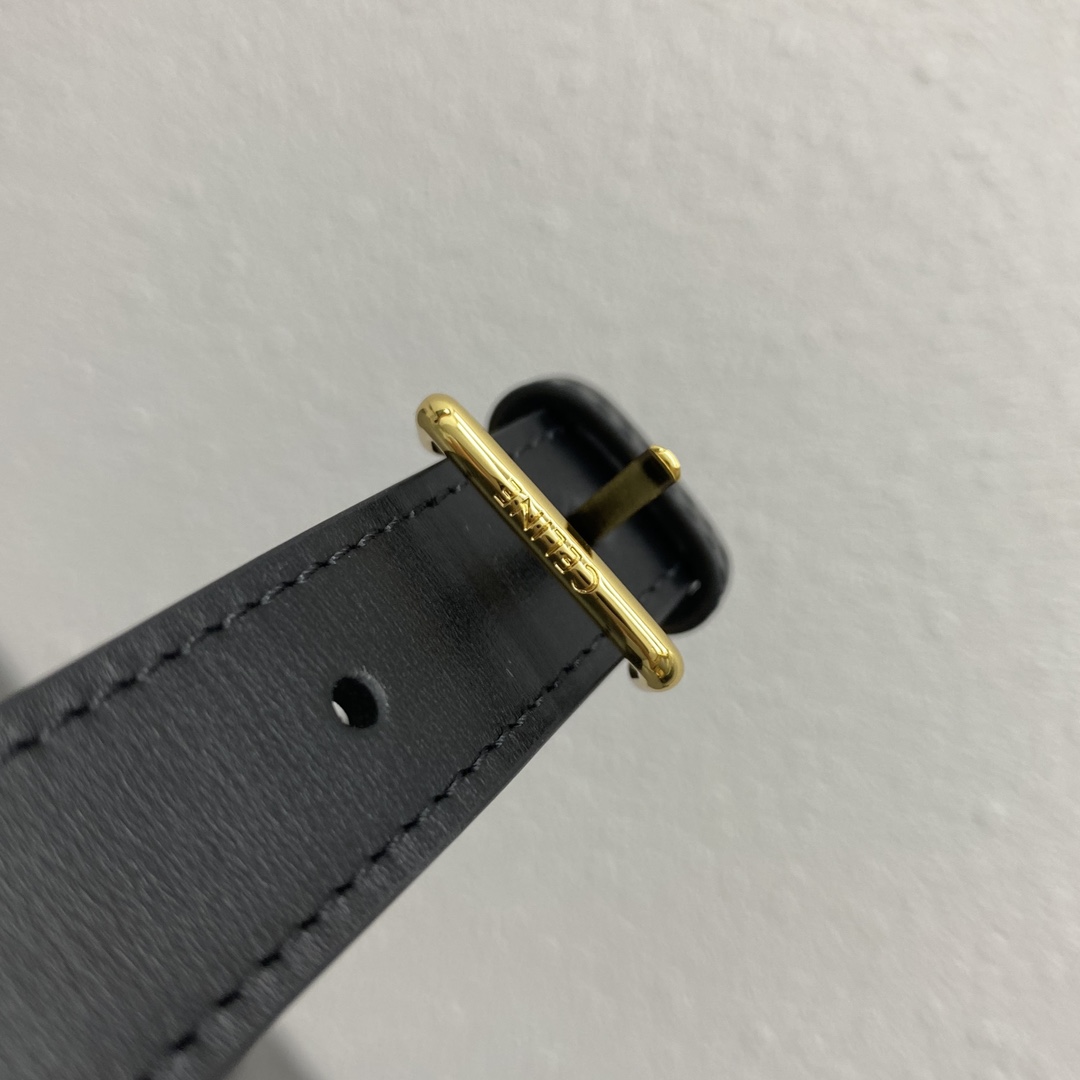 [TOP] CELINE Triomphe Shoulder Bag  22-16-6 - Black