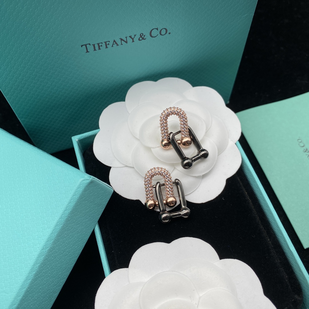 [TOP] Tiffany & Co. Lock  Earrings