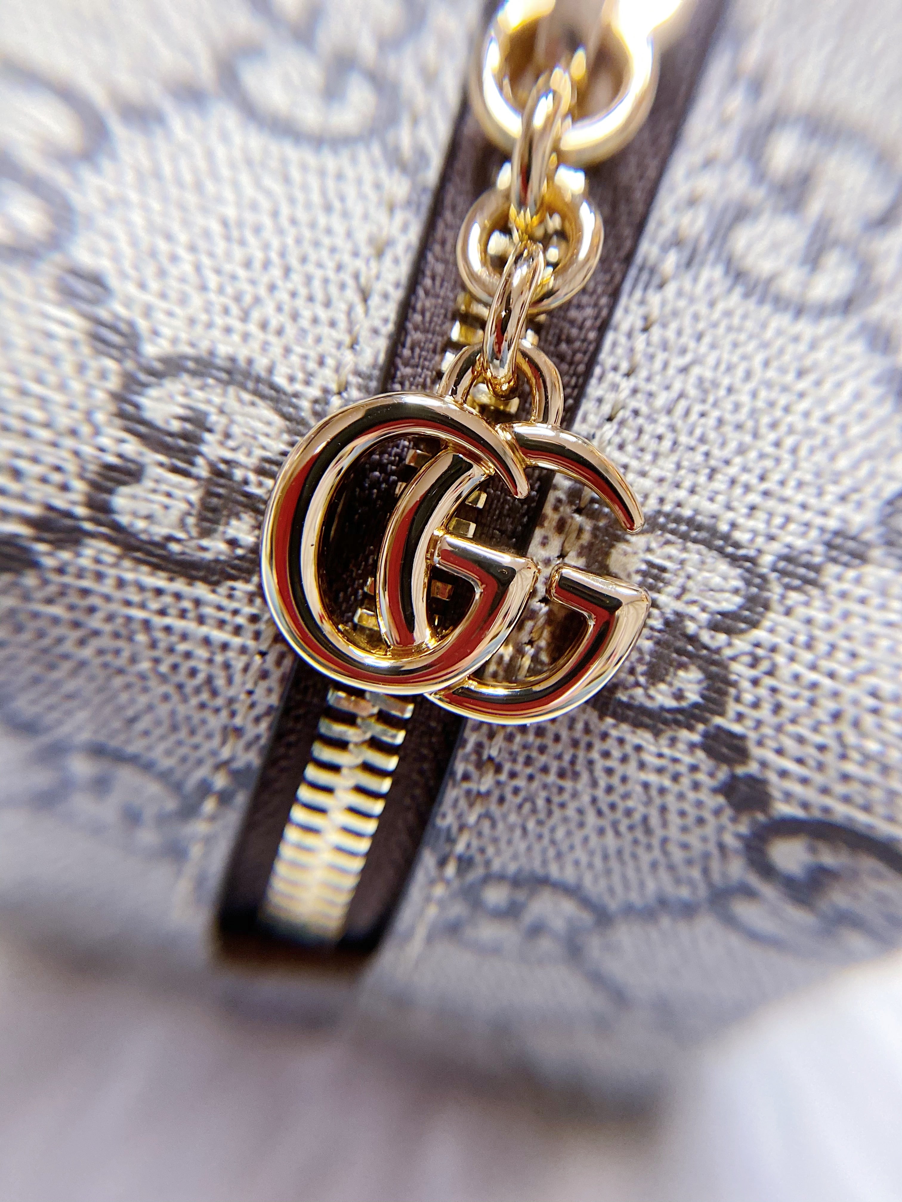 [TOP] GUCCI Cosmetic Case