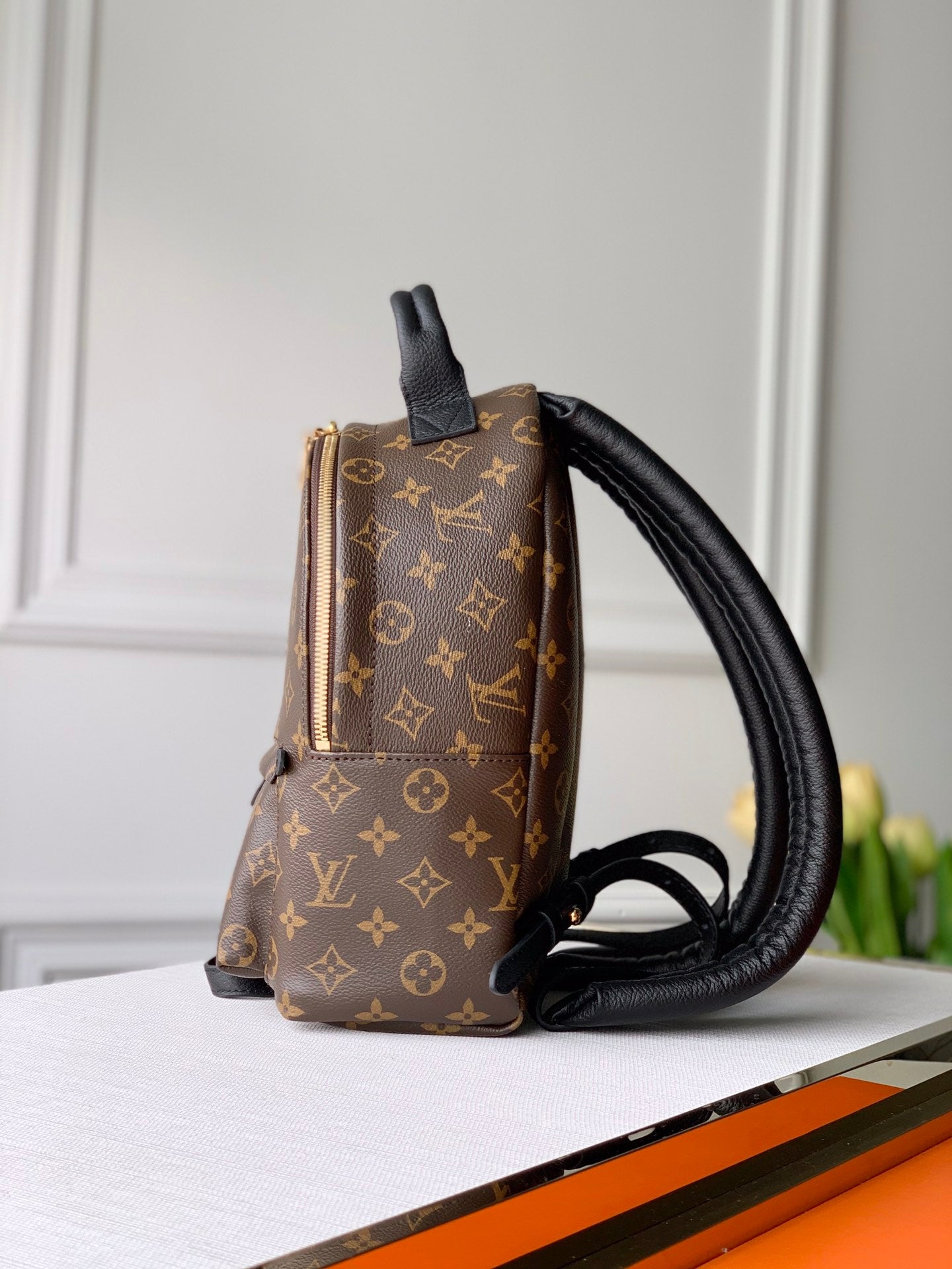 [TOP] Louis Vuitton LV Palm Sping Monogram Backpack 22 x 29 x 10cm- PM