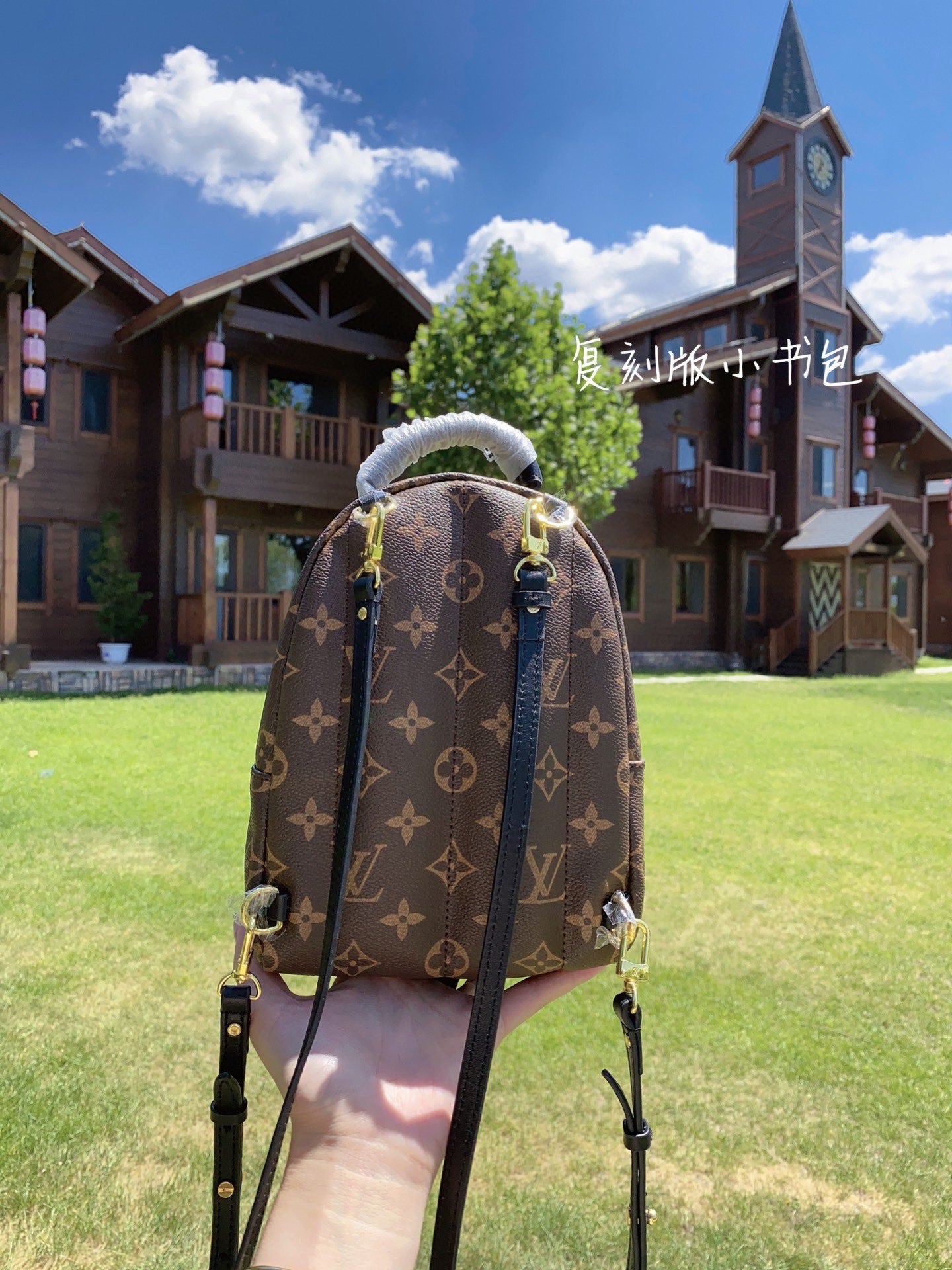 [TOP] Louis Vuitton LV £V Palm Springs Mini Monogram 17 x 22 x 10 cm-Brown