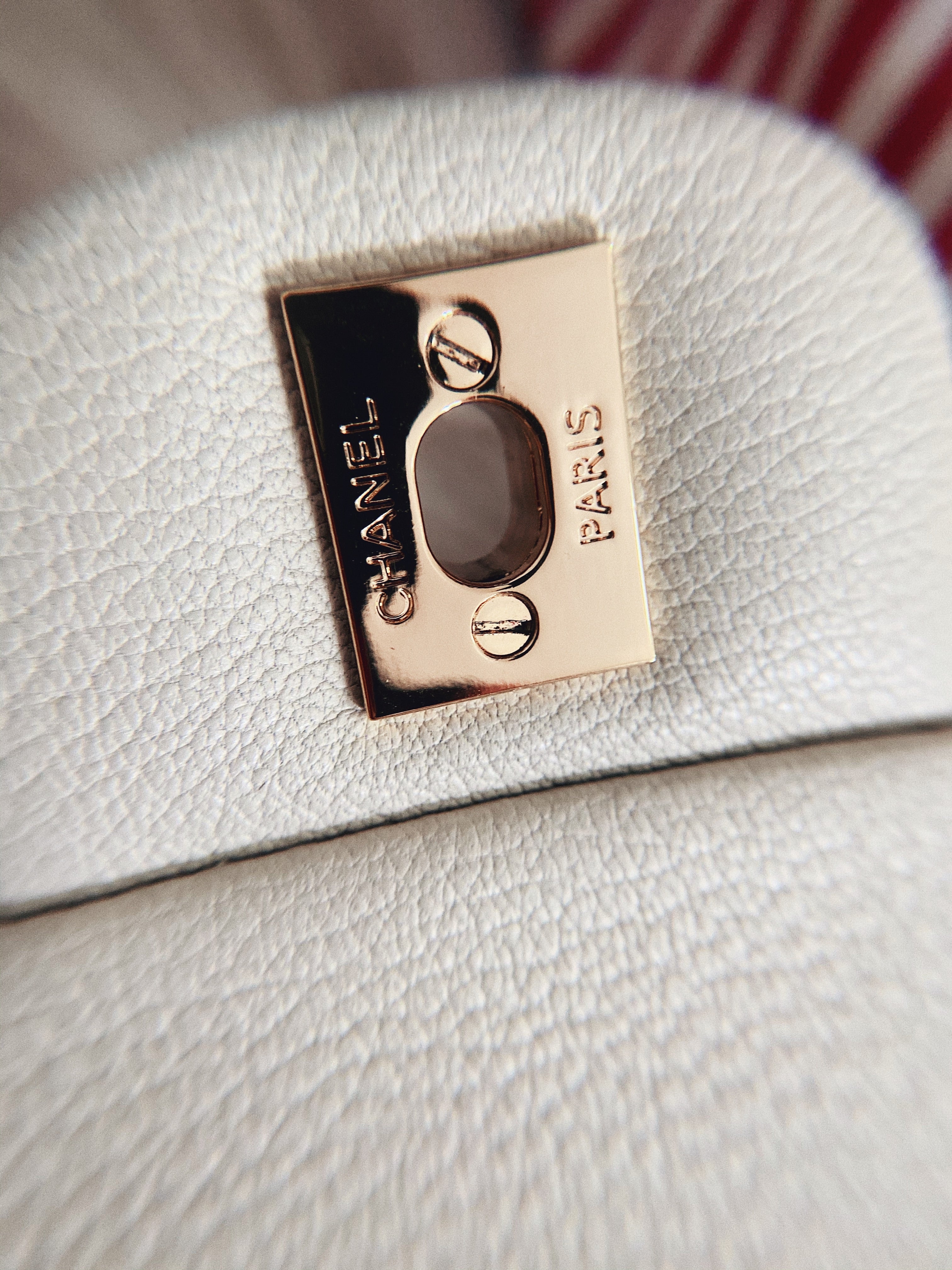 [TOP] CHANEL Classic Flap Bag True Python Leather Medium 25.5cm