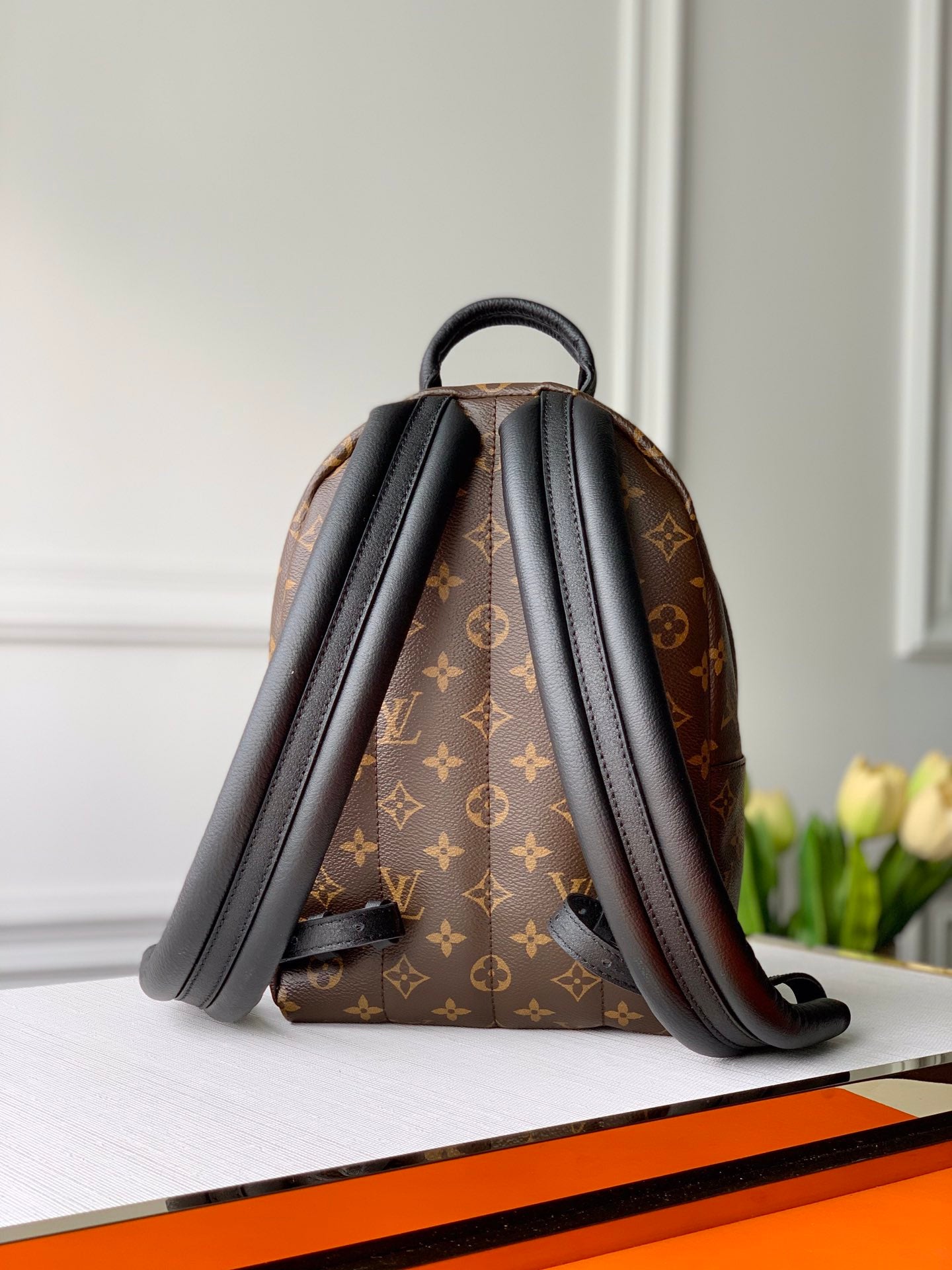 [TOP] Louis Vuitton LV Palm Sping Monogram Backpack 22 x 29 x 10cm- PM