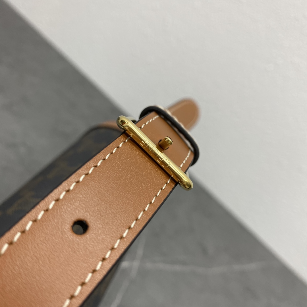 [TOP] CELINE Triomphe Shoulder Bag 22-16-6