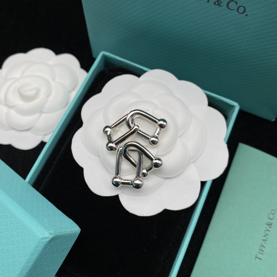 [TOP] Tiffany & Co. Link Earrings - Silver