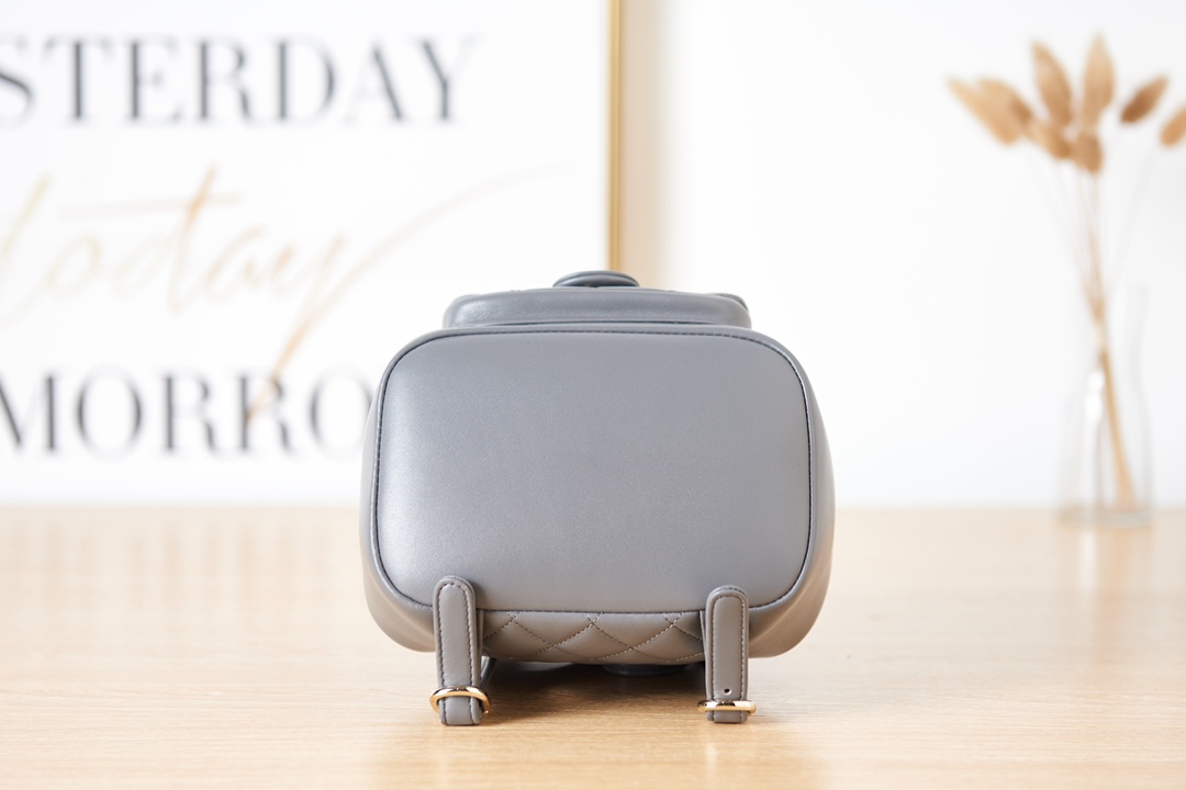 [TOP] CHANEL DUMA BackPack 18×18×12cm - Gray & GHW