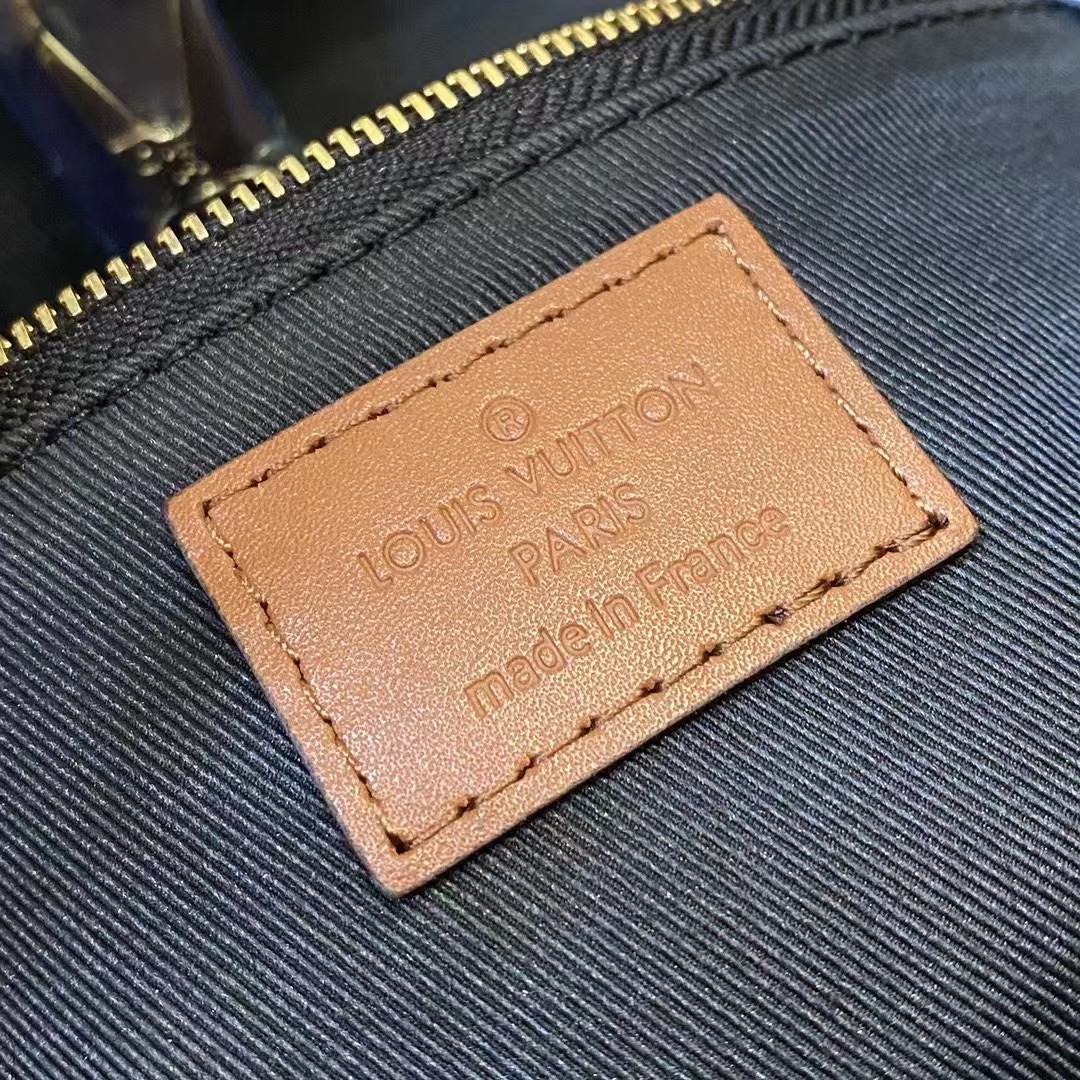 [TOP] Louis Vuitton LV LV DAUPHINE Handbag