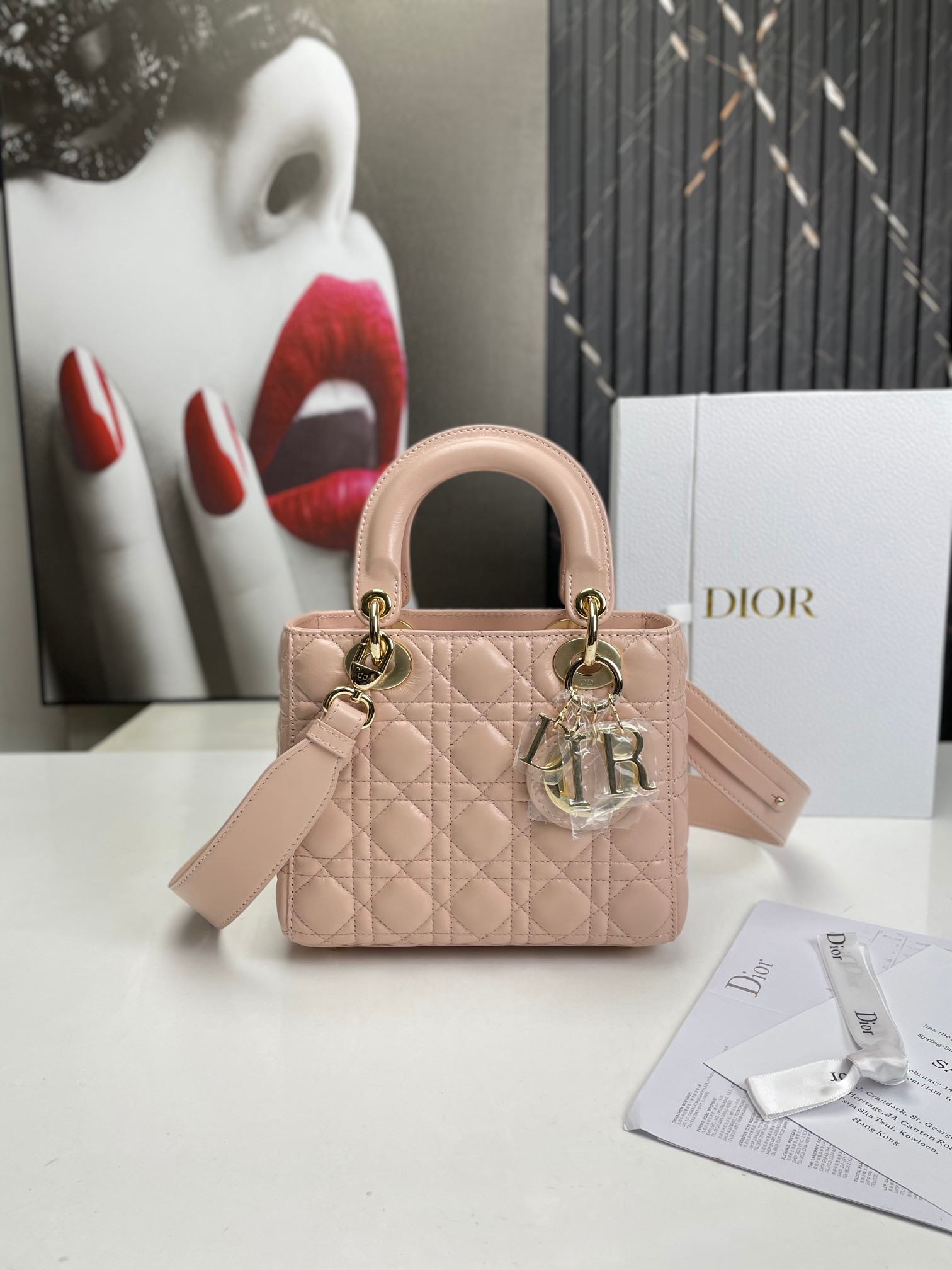 [TOP] Christian Dior Lady Christian Dior Bag - 8 Colors（10% off only last day）