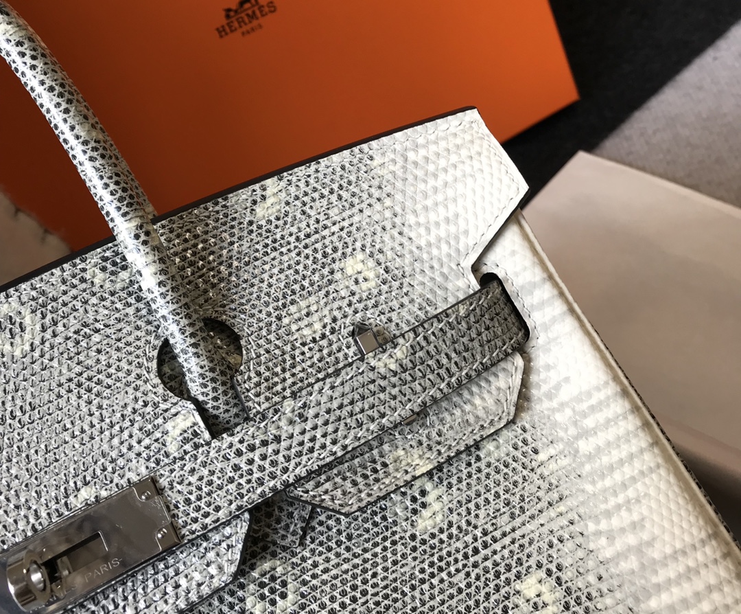 [TOP] HERMES Birkin Leather 25/30 cm - Leather embossed lizard pattern