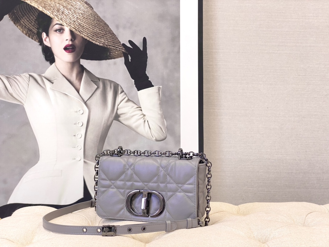 [TOP] Christian Dior Caro Bag 20 x 12 x 7 cm - Grey