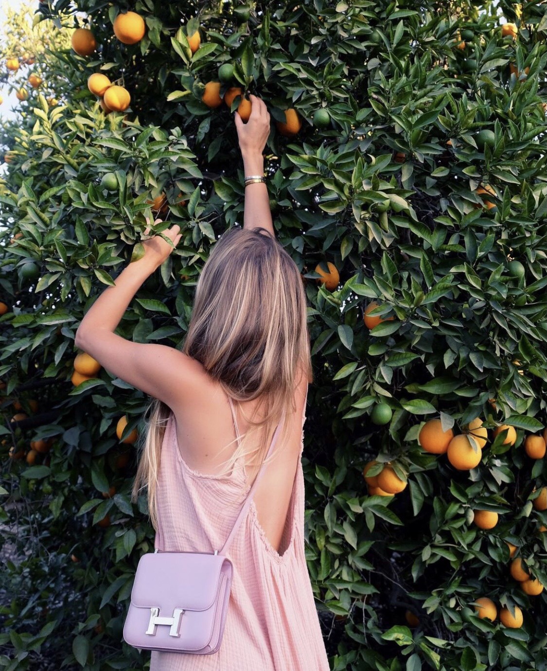 [TOP] HERMES Constance epsom 19/23 CM- Purple & GHW