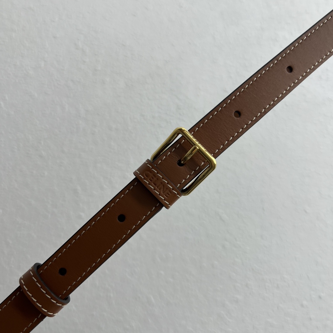 [TOP] CELINE Triomphe FOLCO Bag 22x12x22cm - Khaki Brown