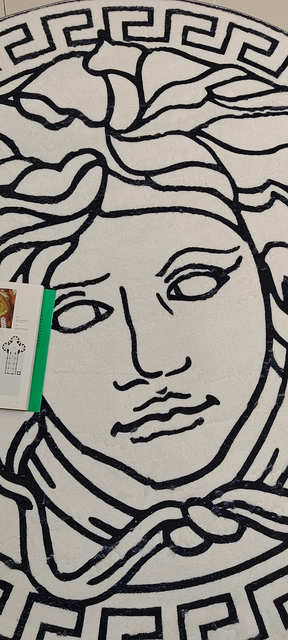 [TOP] VERSACE Round Carpet