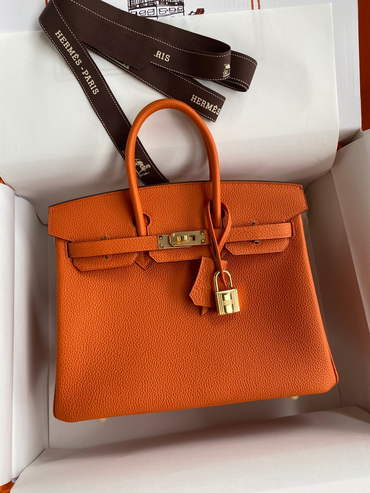 [TOP] HERMES Birkin Bag 25 cm - Nine Colors - GHW