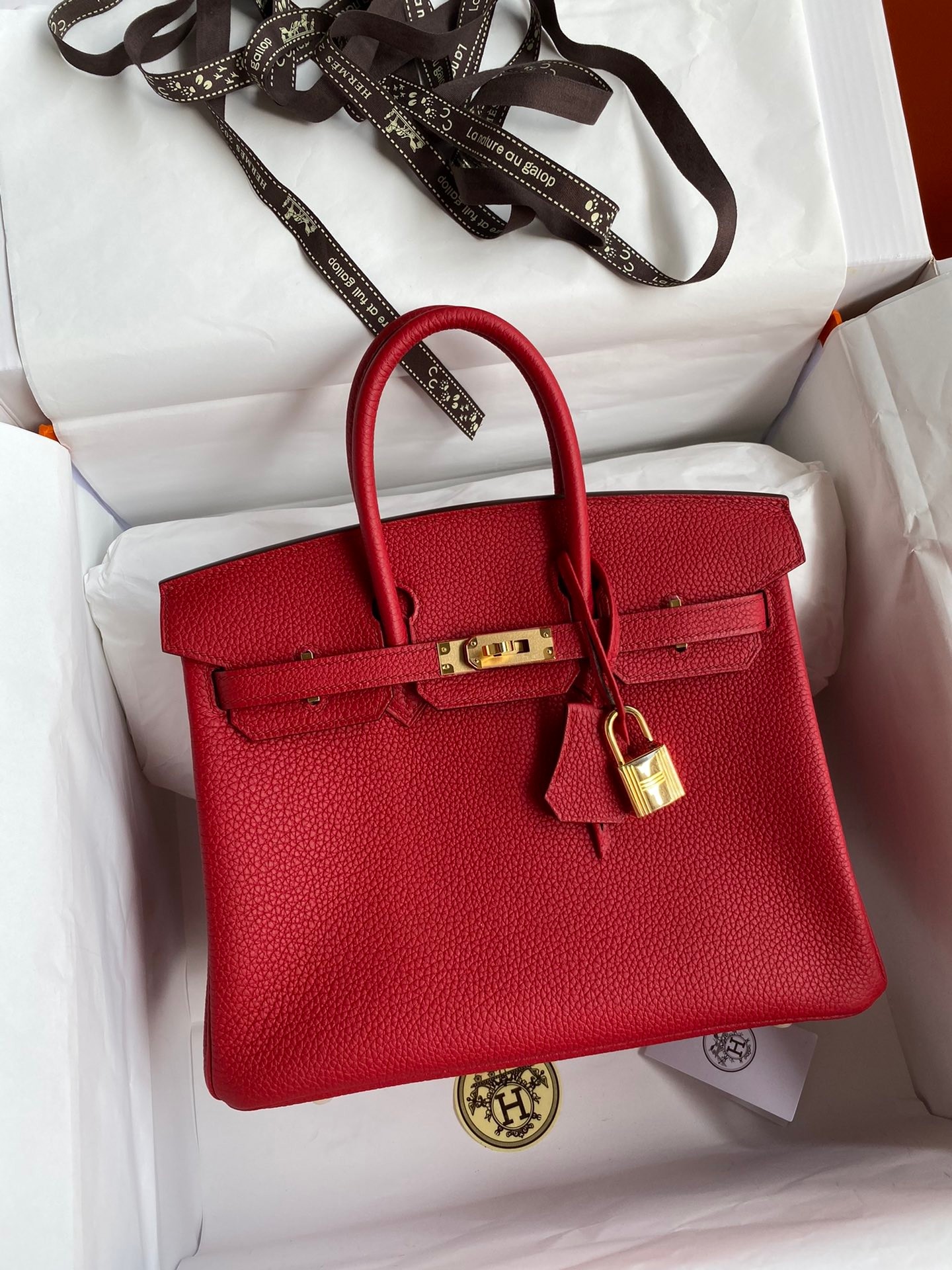 [TOP] HERMES Birkin Bag 25 cm - Nine Colors - GHW