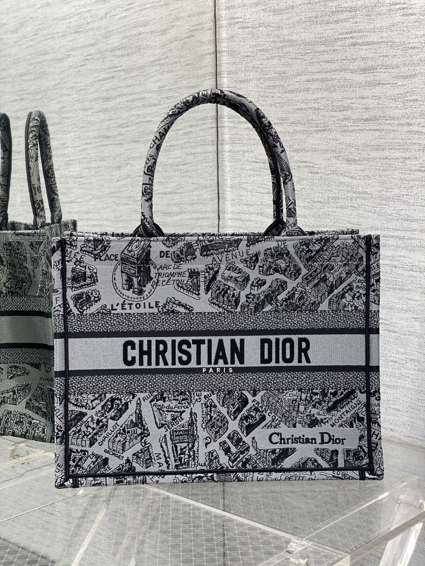 [TOP] Christian Dior Book Tote Bag Embroidery 26cm/36cm