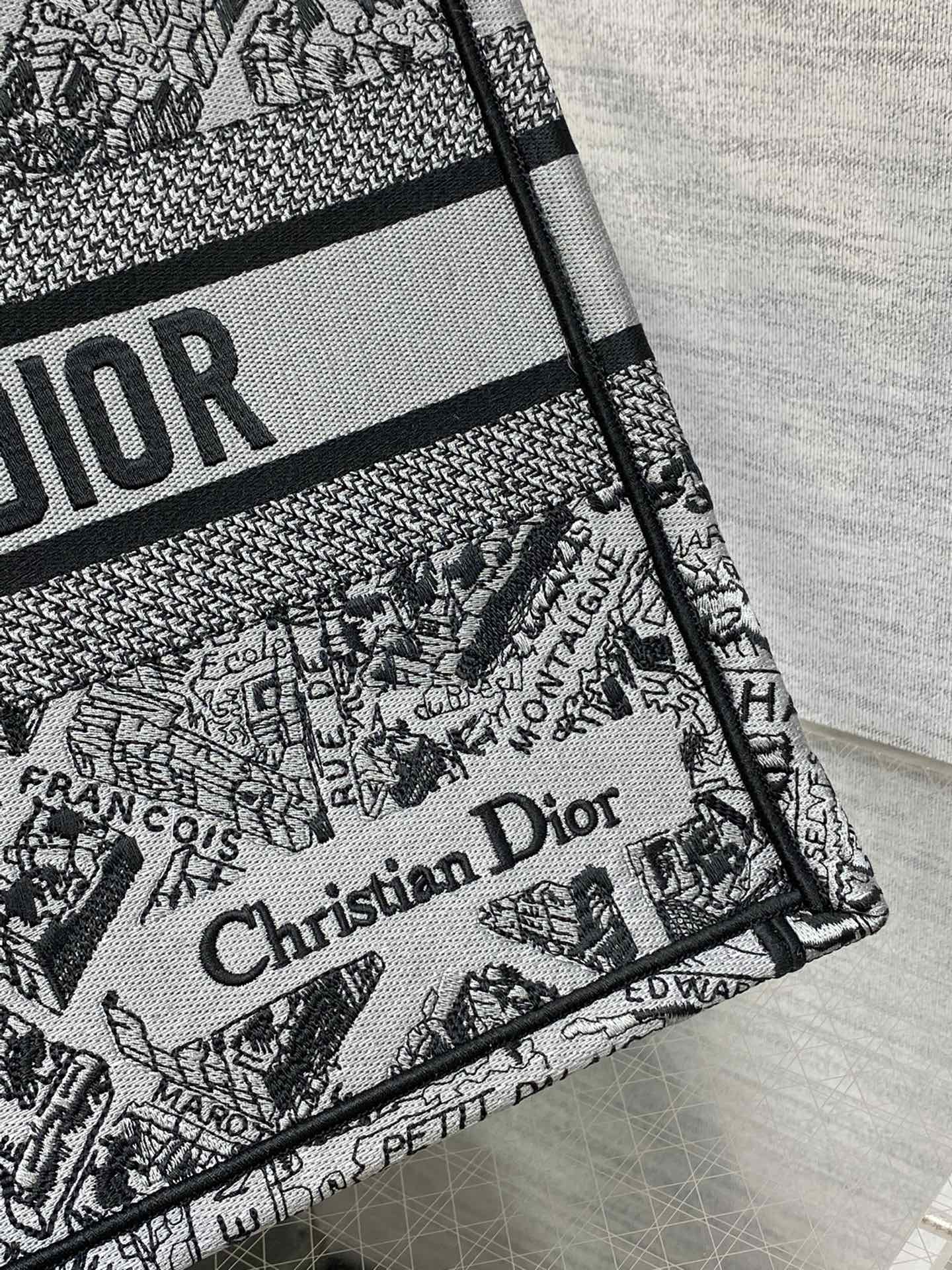 [TOP] Christian Dior Book Tote Bag Embroidery 26cm/36cm