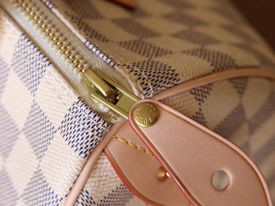 [TOP] Louis Vuitton LV L*V Speedy Bag 25 CM