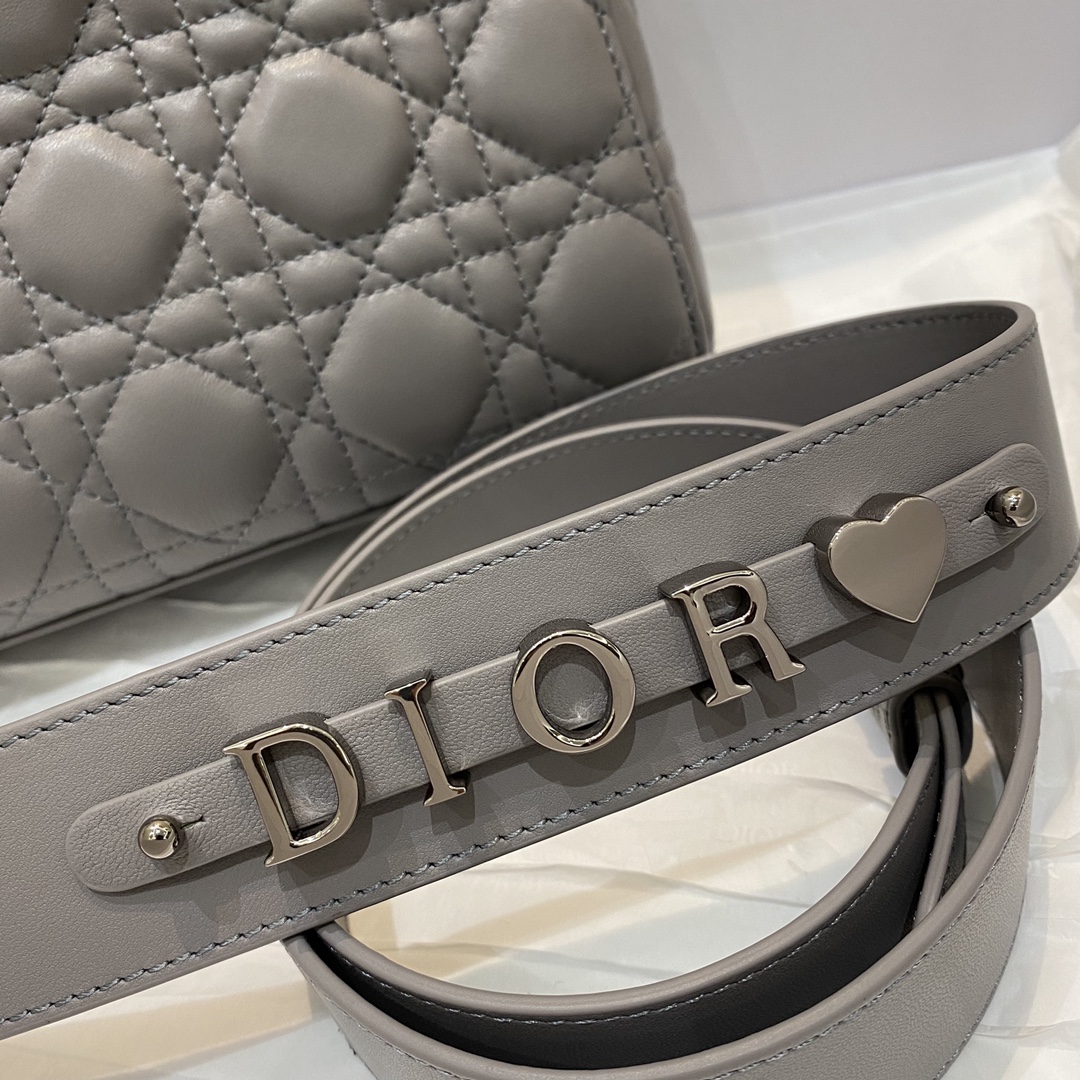 [TOP] Christian Dior Lady's Latest Gun Color Hardware Series Bags 20cm - 3 Colors