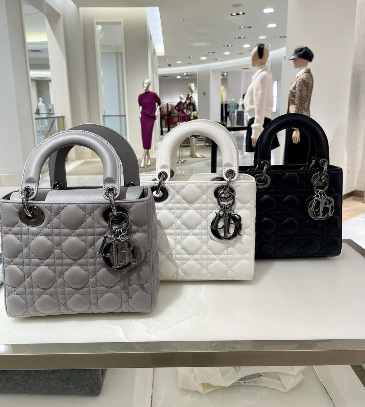 [TOP] Christian Dior Lady's Latest Gun Color Hardware Series Bags 20cm - 3 Colors