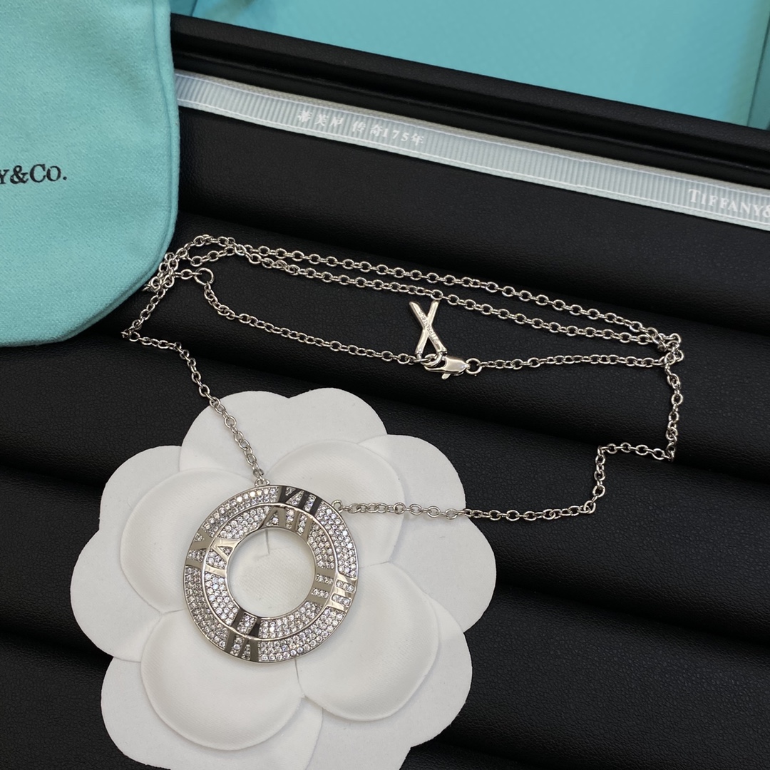 [TOP] Tiffany & Co. Necklace - Silver