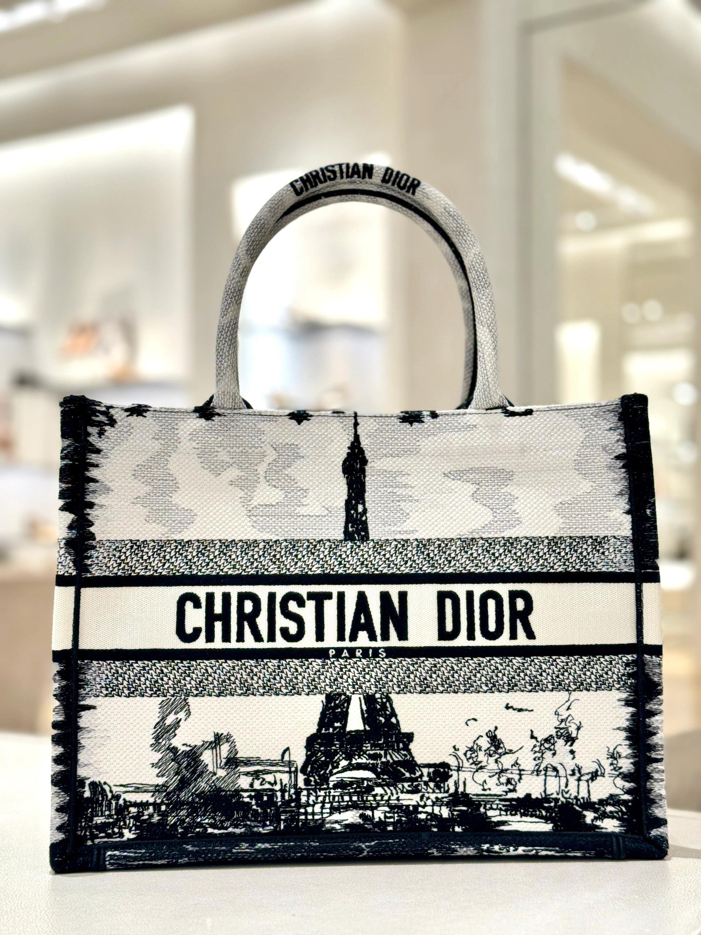 [TOP] Christian Dior The Paris Tower Series Book Tote Bags 36*18*28cm - 3 Colors