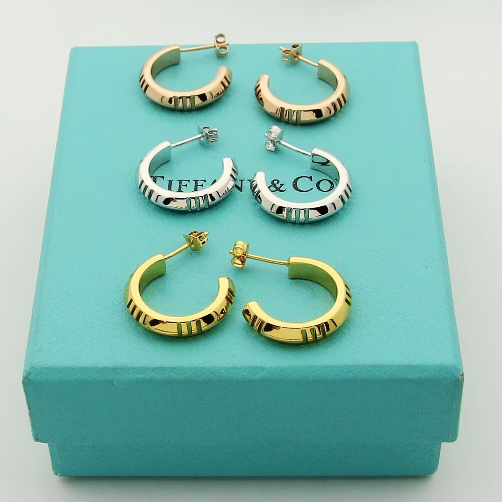 [TOP] Tiffany & Co. Earrings - 3 Colors