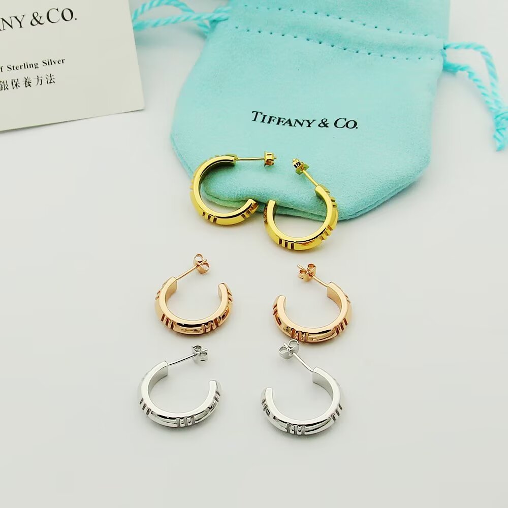 [TOP] Tiffany & Co. Earrings - 3 Colors