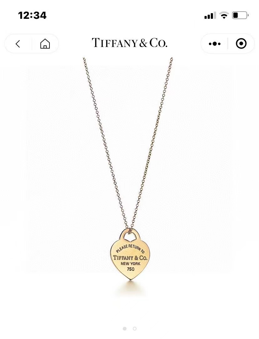 [TOP] Tiffany & Co. Necklace-3 Colors