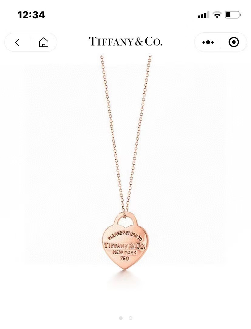 [TOP] Tiffany & Co. Necklace-3 Colors