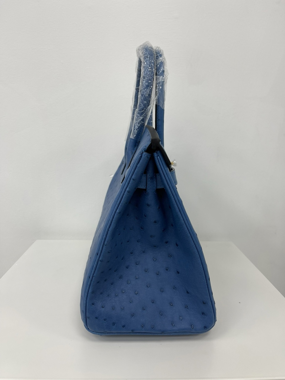 [TOP] HERMES Ostrich Skin Birkin Bags - Blue&GHW
