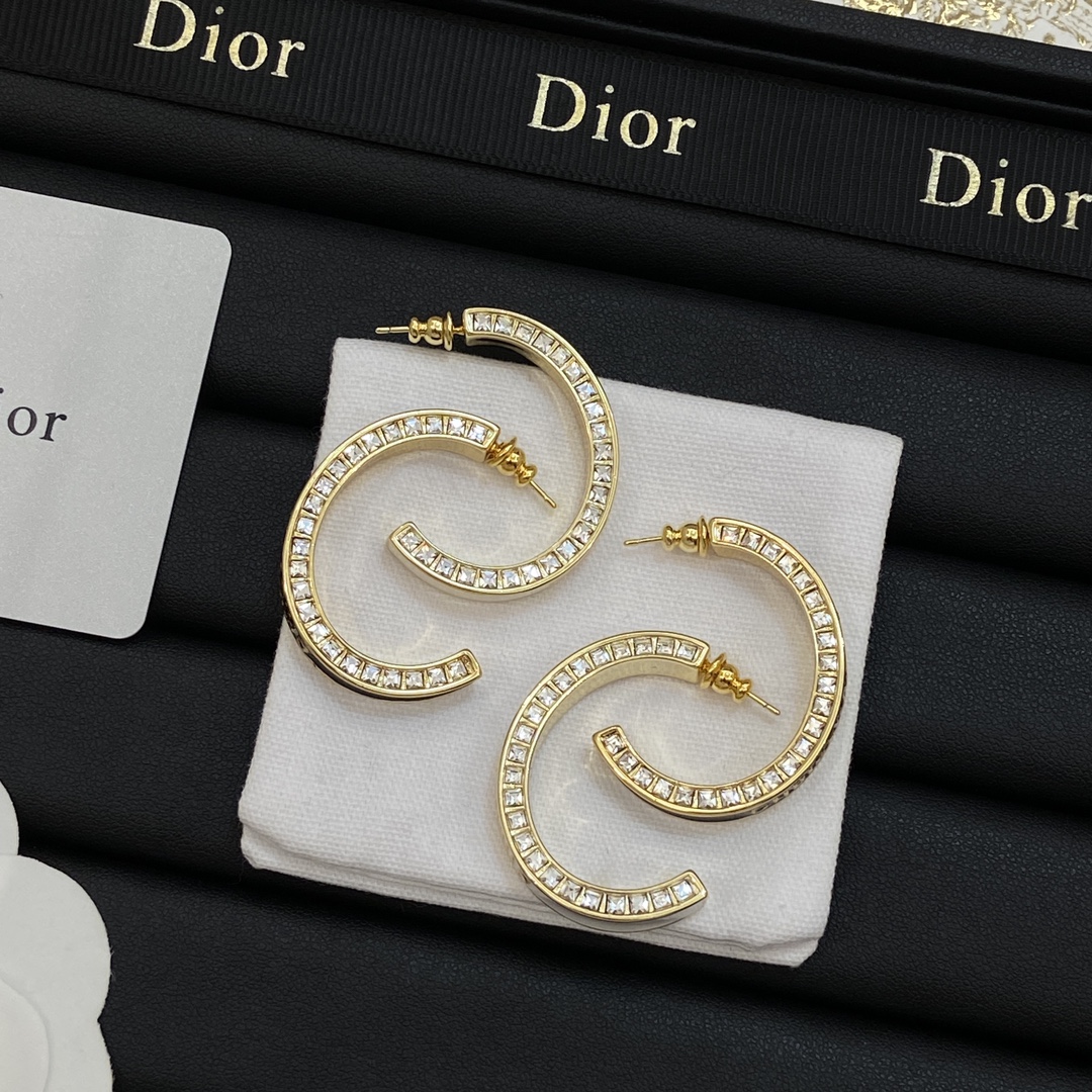 [TOP] Christian Dior Earring - 2 Colors