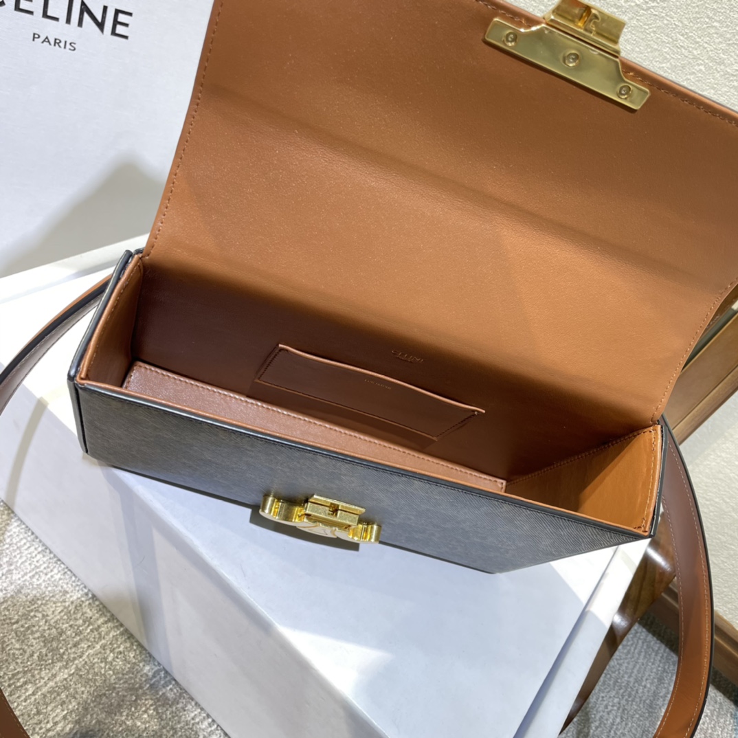 [TOP] CELINE Box Triomphe Bag cowhide Bag 22X13.5X6cm - 2 Colour