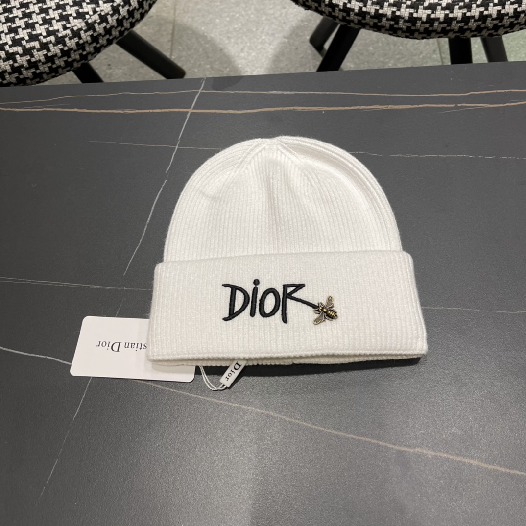 [TOP] Christian Dior Knitted Wool Hat - 4 Color