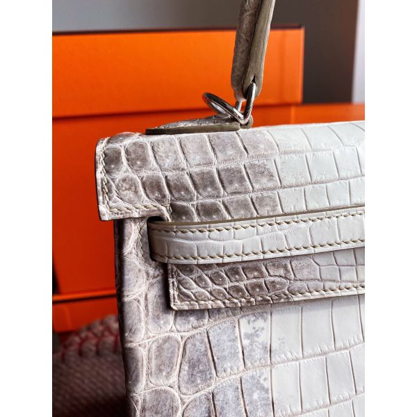 [TOP] HERMES Retourne 25 Handmade Bag In Himalaya Crocodile Niloticus Skin Kelly - Diamonds Hardware