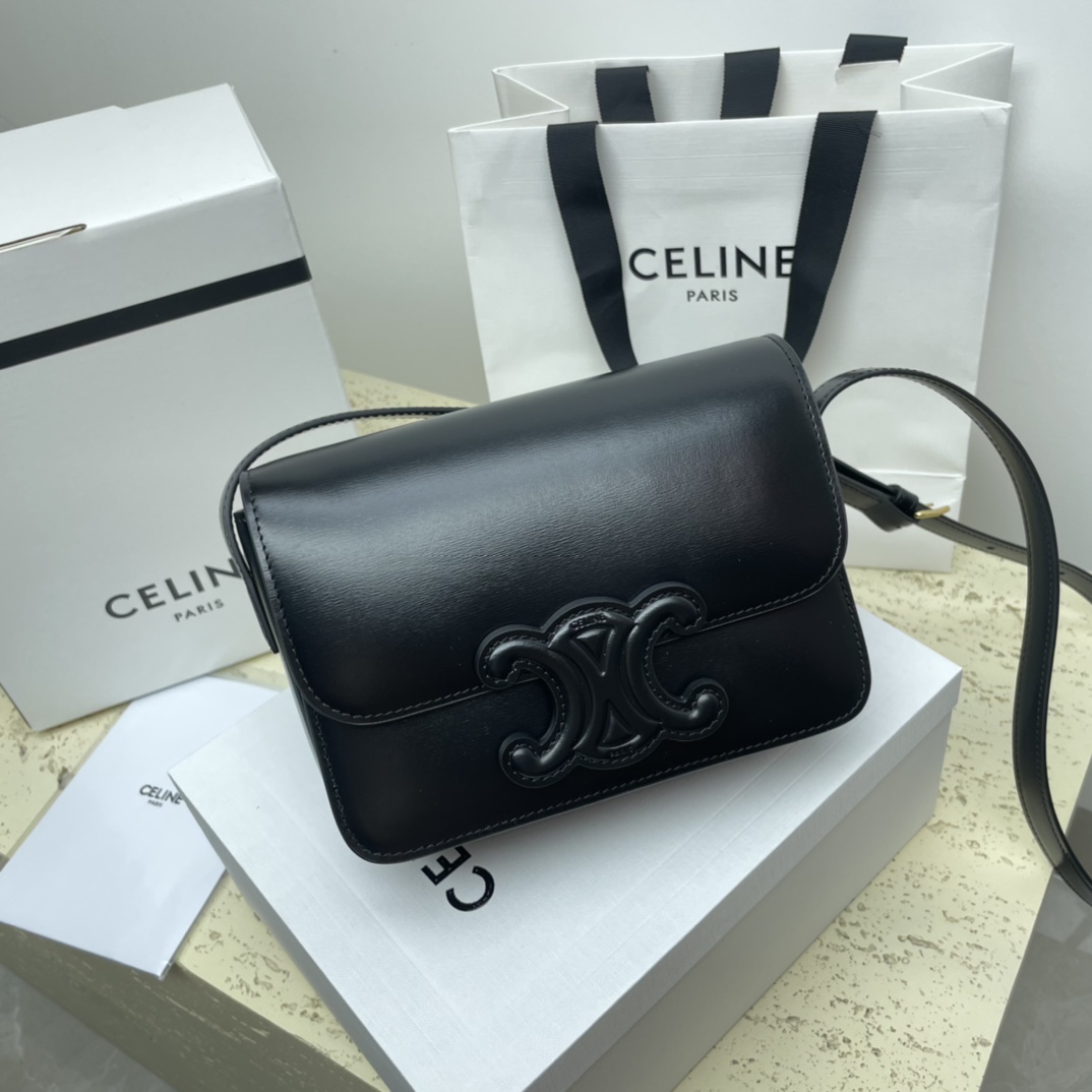 [TOP] CELINE Triomphe Bag Cow Leather Bag 18.5*14*8cm/22*16.5*7cm - 2 Colour