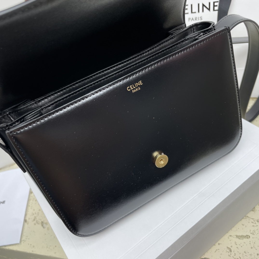 [TOP] CELINE Triomphe Bag Cow Leather Bag 18.5*14*8cm/22*16.5*7cm - 2 Colour