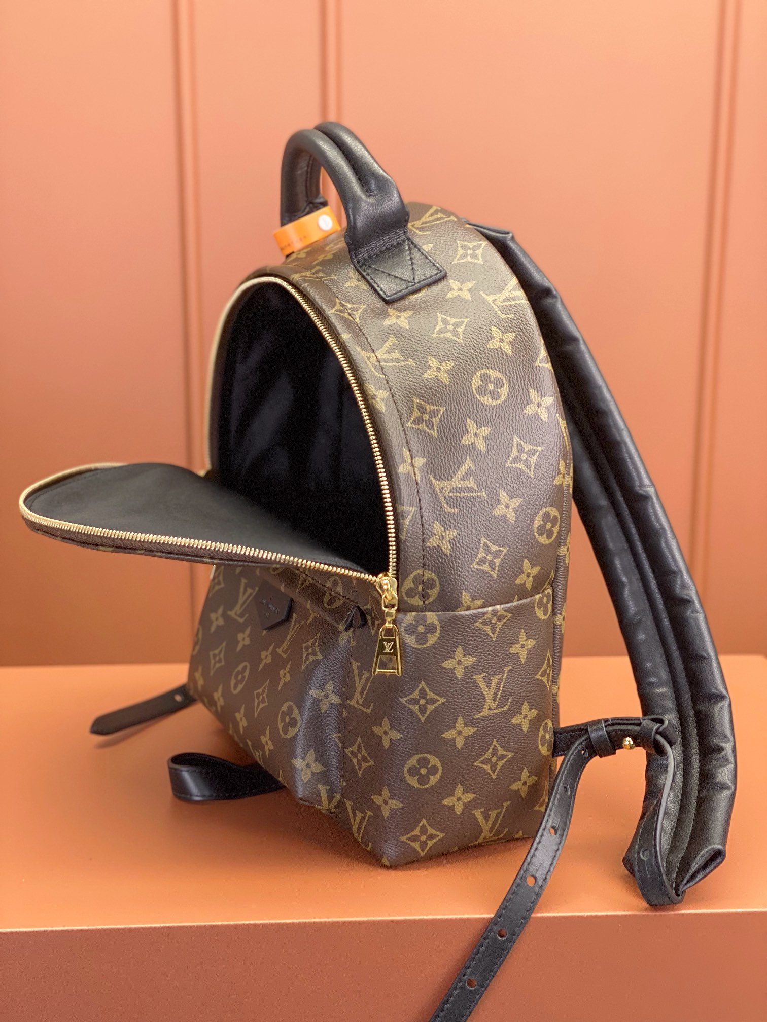 [TOP] Louis Vuitton LV £V Monogram Palm Springs Backpack - 3 Size