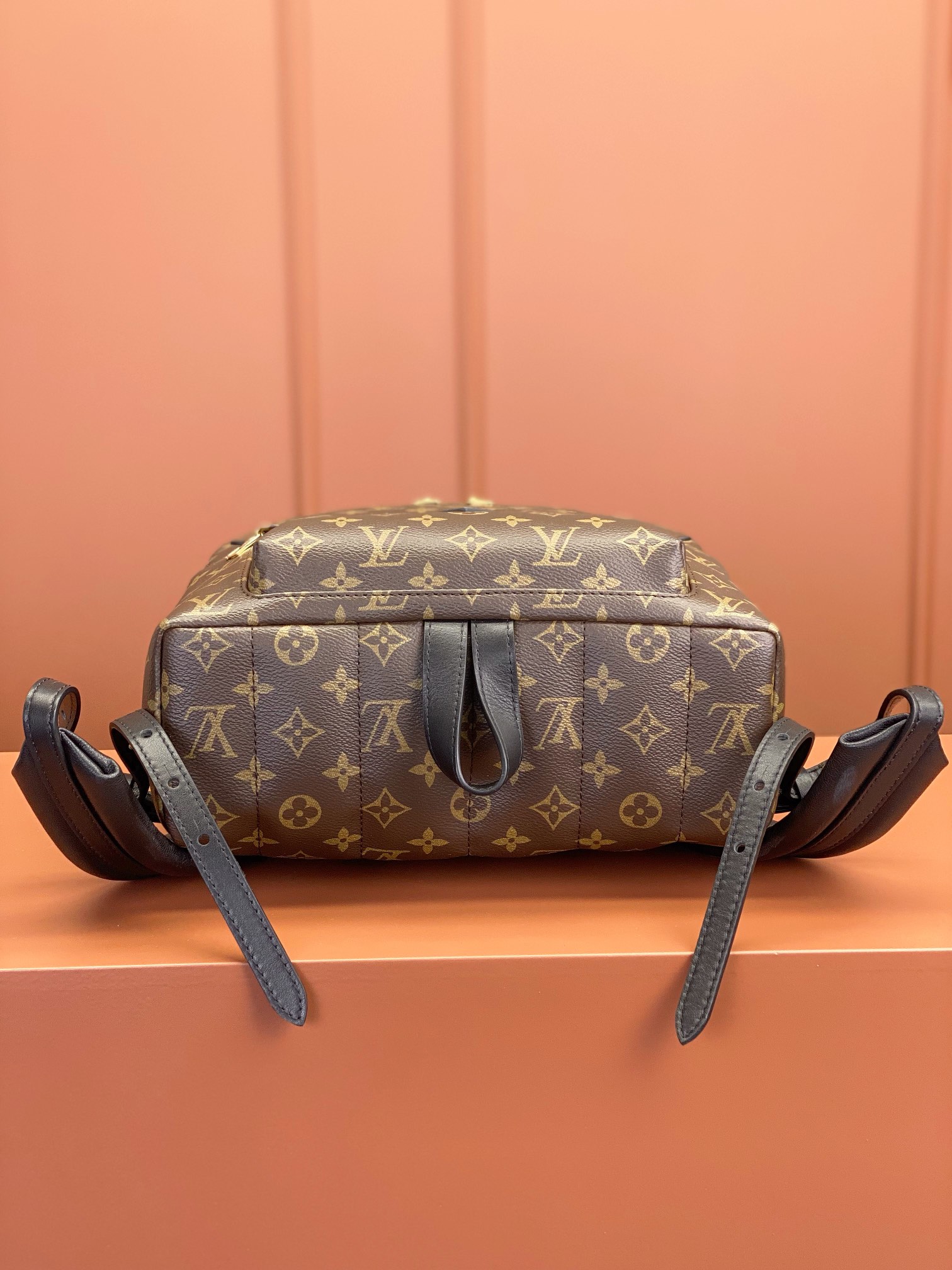 [TOP] Louis Vuitton LV £V Monogram Palm Springs Backpack - 3 Size